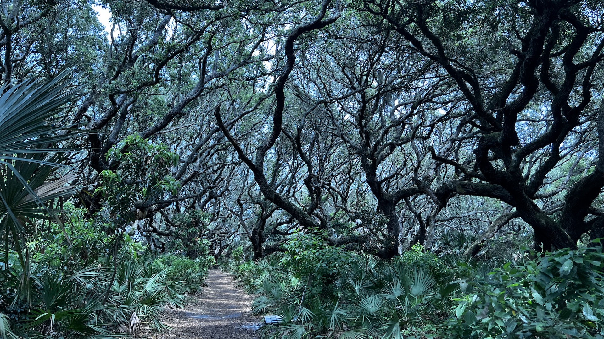 Coastal Georgia 2023